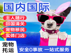 昆明机场邮寄国际宠物托运 【国